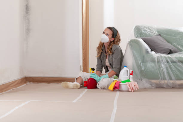 Reliable Mold Remediation contractor in Peachtree City, GA by 24 Hour Mold Removal